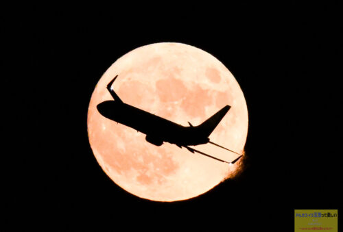 月と飛行機が重なった写真が「月丼」