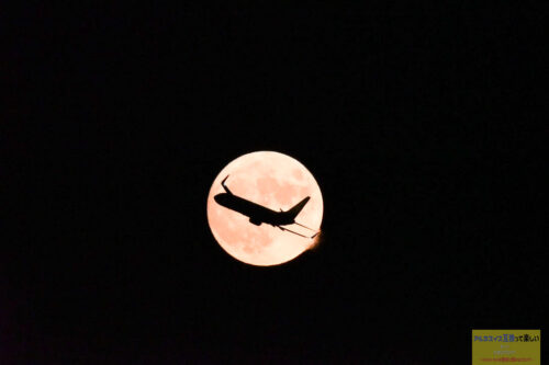 月と飛行機が重なった写真「月丼」（トリミングなし）